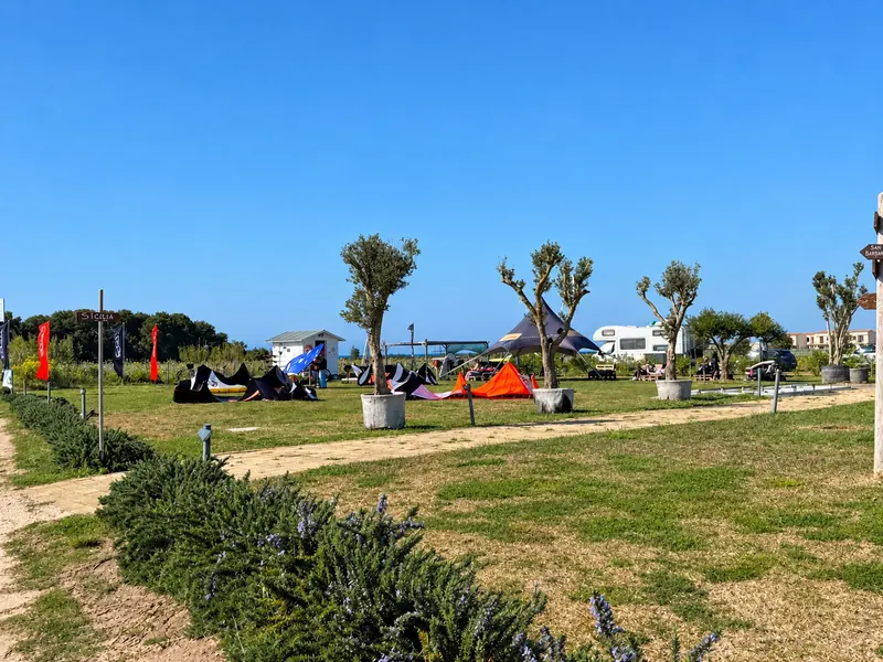 Il prato con gli ulivi e i kite stesi, vicino alla laguna